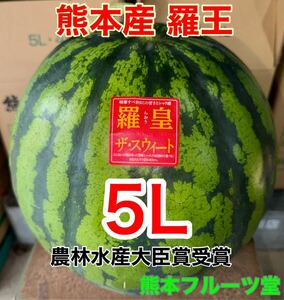 熊本産【羅皇】秀品5Lサイズ（1玉10〜11kg）熊本フルーツ堂15