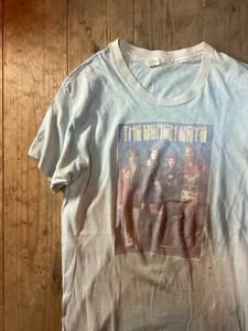 70年代ビンテージ Hanes へインズ The Beach Boys ビーチボーイズフォトプリント バンドTシャツ ロックTシャツ ヴィンテージ 希少