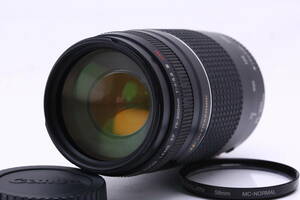 【特上美品】キヤノン CANON EF 75-300mm F4-5.6 III USM #12783