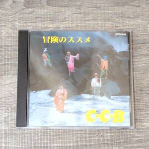 【CD】 冒険のススメ C-C-B H33P20085 ココナッツボーイズ 音楽 バンド 大人気 昭和レトロ シティポップ J アーティスト ロック