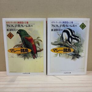 オラウータンと極楽鳥の土地 マレー諸島 上下セット ウォーレス 新妻昭夫 ちくま学芸文庫/古本/汚れヤケシミ傷み/状態は画像で確認を/NCで