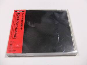 郷ひろみ アメリカかぶれ 帯付き CDアルバム　読み込み動作問題なし