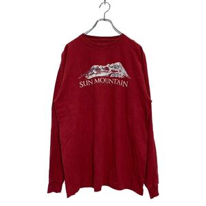 Champion 長袖 プリント Tシャツ L レッド チャンピオン ロンT ロングTシャツ 古着卸 アメリカ仕入 a601-6438