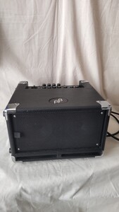 Phil Jones Bass Cub BG-100 中古　専用キャリーバッグ付き！