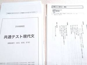 鉄緑会　２０年冬期最新　共通テスト現代文　テキスト・解説　上位クラス　東大　医学部　河合塾　駿台　京大　共通テスト