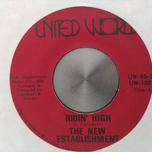 ◆即決◆VERY RARE◆B-BOY FUNK NORTHERN SOUL◆◆THE NEW ESTABLISHMENT◆◆RIGIN