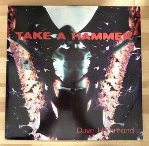 0704）ＤＡＶＥ　ＨＡＭＭＯＮＤ　⑩　１２インチ　ＴＡＫＥ　Ａ　ＨＡＭＭＥＲ