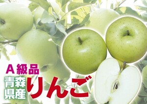 【A級品・王林・3kg（3キロ） ダンボール 詰】青森県産 青りんご