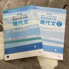 未使用！進研　センター試験対策国語　現代文