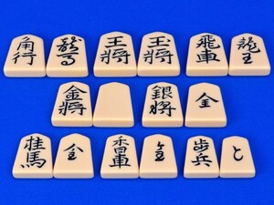 プラスチック将棋駒　王将(水無瀬)　※駒箱付