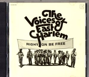 Voices Of East Harlem /７０年/ソウル、ファンク