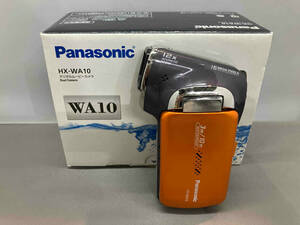 Panasonic HX-WA10 デジタルムービーカメラ(14-04-10)