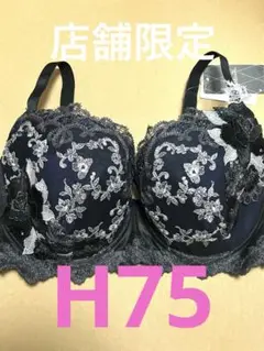 ⭐️店舗限定⭐️ワコール　サルート⭐️84グループ⭐️BL⭐️H75