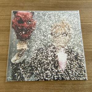 美品 LP レコード アナログ盤 TY SEGALL / TY SEGALL（self titledタイセガール/2008セルフタイトル king gizzard & the lizard wizard）