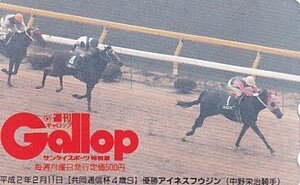 ●Gallop アイネスフウジン 中野栄治騎手 共同通信杯4歳Sテレカ