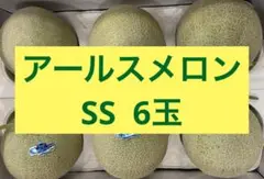 アールスメロン　SS    6玉