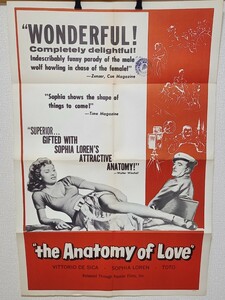 E21 US版 ポスター 洋画 The Anatomy of Love 1SH ワンシート サイズ レトロ 当時物 1954 ソフィア ローレン