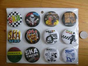 ◇缶バッジ12個セット◇SKA2◇4.4センチ◇