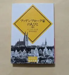 ブッデンブローク家の人びと 中　岩波文庫　トーマス・マン