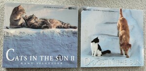 中古　Windows3.1/95/Mac漢字Talk7以降　CDソフト　CATS IN THE SUN ⅡとDOGS IN THE SUN 　キャツインザサン　デジタル写真集　猫　犬