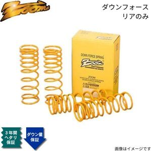 ダウンサス ベクトラワゴン(XH) XH200W ズーム ダウンフォース オペル 1995/10～2002/07 X20 2.0L リア