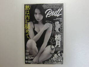 桃月なしこ.18ページ.9枚.ヤングキングBULL.2022年.11月号.切り抜き.ラミネート.ラミネート加工.水着.ビキニ.衣装.コスプレ.数量1