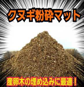 無添加☆クヌギの朽ち木粉砕マット☆クワガタの産卵木の埋め込みマットに！カブトマットに混ぜて幼虫の栄養強化にも☆発酵マットの原料に！