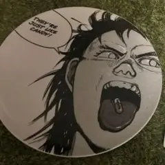 supreme akira ceramic plate 鉄雄