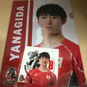 龍神NIPPON【柳田将洋選手クリアファイル】未使用品