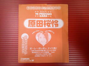 c000068 未開封雑誌付録カード/原田桜怜 （元SKE48・前田栄子・手束真知子）