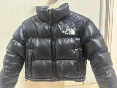 【雷市場（ポンジャン）商品韓国直送】 THE NORTH FACE(ザノースフェイス) ヌークアップクロップ s