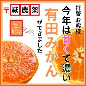 みかん 有田みかん ほぼ無農薬！甘い！農薬少 和歌山 5kg おいしい ミカン 蜜柑 減農薬 訳あり 愛媛みかんと競合 B ミックス 送料無料2