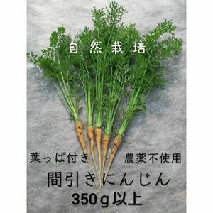 【自然栽培】葉っぱ付き にんじん☆350g以上☆ 農薬不使用