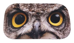 BlackStrap GOGGLE COVER PRINTS Color: OWL サイズ：フリー　定価￥2420