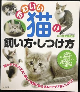 かわいい猫の飼い方・しつけ方