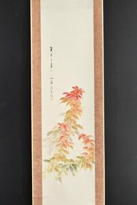 K3274 模写 柳荘「葉鶏頭」紙本 ハゲイトウ 中国 日本画 古画 掛軸 掛け軸 古美術 アート アンティーク 人が書いたもの