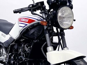 徹底仕上げ RZ250R [1XG] 4L3イメージカラー 17inch仕様 Newタイヤ&シート セパハン チャンバー他多数 動画有 全国通販可 3.9％低金利150回