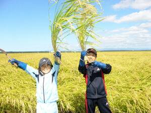 新米 もち米 9kg 私の作った 秋田の たつこもち 食べてみて