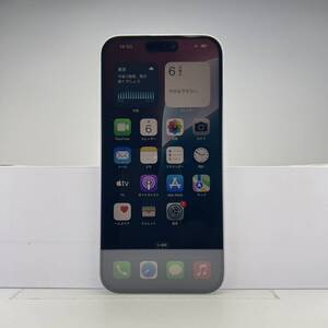 iPhone 15 Plus 128GB ブルー SIMフリー 訳あり品 ジャンク 中古本体 スマホ スマートフォン 白ロム [出品ID：29638]