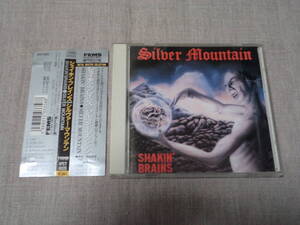 SILVER MOUNTAIN - SHAKIN’ BRAINS