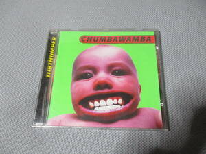 Chumbawamba Tubthumper 輸入盤