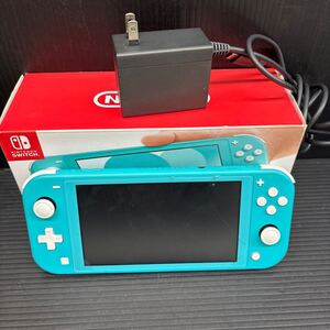 Nintendo Switch Lite ニンテンドースイッチライト ジャンク品 通電のみ確認済み 画面不良