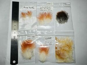 貴重希少　Cock Of The Rock Classic Salmon Fly Material コックオブザロック