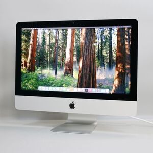 1円スタート Apple iMac Retina 4K, 21.5インチ, 2019 (Core i7-8700 /メモリ32GB/SSD1TB/Radeon Pro Vega 20/macOS 15)