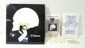 (希少/レア) denar デナー 咬合 顎関節 説明用模型 学習 実習 教材 見本 資料 歯科 bT6653