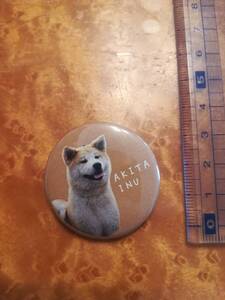 美品 AKITA INU カンバッジ①