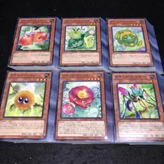 B5824 遊戯王　大量セット ナチュル　50×6