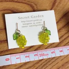 Secret Garden マスカット　立体ピアス