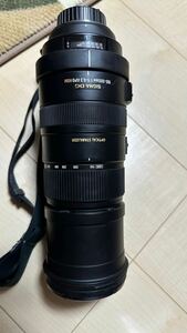 sigma dg 150-500mm f5-6.3 apo hsm ニコンFマウント Nikon レンズ SIGMA