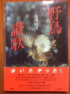 野鳥讃歌 和田剛一著 小学館 写真集 第1刷